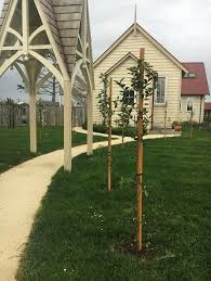 Annuals, unusual perennials, spices and vegetables; Nz Landscape Garden Supplies Ltd Registered Master Landscapers New Zealand