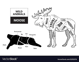 Cut Of Elk Set Poster Butcher Diagram Desert