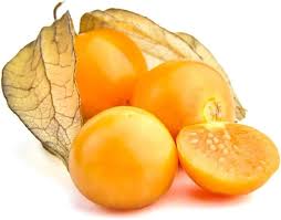Image result for Physalis peruviana