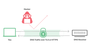 Dns Over Tls Vs Dns Over Https Secure Dns Cloudflare