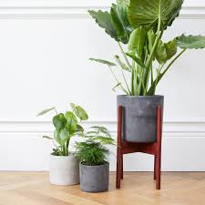 A statement plant deserves a designer planter. Wooden Plant Stand Pots Patch