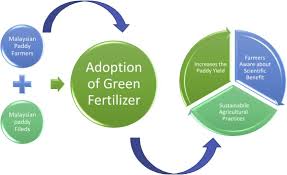 It was directed by joseph kaufman and starred billie burke and thomas meighan. Transition Pathways For Malaysian Paddy Farmers To Sustainable Agricultural Practices An Integrated Exhibiting Tactics To Adopt Green Fertilizer Sciencedirect