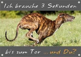 They run fast, but they steal your heart even faster! Hunde Warnschild Greyhound Windhund Metallschild Top Tipp Ebay
