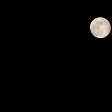 Pin On Nikon D5500