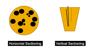 Dr. Donovan's Hair Loss Articles (2011-2024) — Donovan Hair Clinic