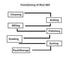 modern rice milling processes sytems information