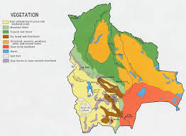 Vegetation Map Bolivia Bolivia Mapa Mapas Mapa Google