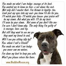 Pitbull Poem