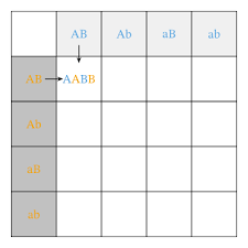 Example solves a two trait (two factor) test cross which can then. Lesson Explainer Dihybrid Inheritance Nagwa