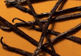 Image result for Vanilla