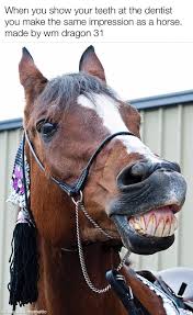 Find the newest big teeth meme. Dentist Horse Meme Lostpause