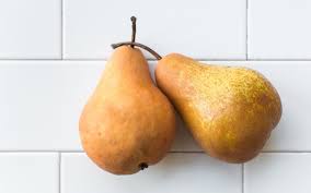 Pears bear much of their fruit at the tip of the stem (terminal). Pear Tree Florida Home Variety Grafted