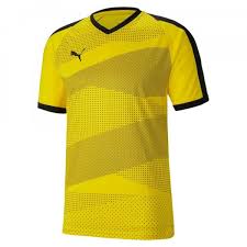 We did not find results for: Puma Teamfinal Indoor Trikot Trikots Indoortrends De