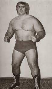 He has been the leading personality in professional wrestling since the mid 1970s and is considered by many. Did You Know That Ric Flair Was Recruited To Play Football At University Of Minnesota Wrestling Postandcourier Com