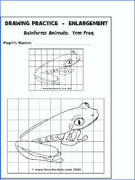 Scale Drawing Worksheets For Kids Bird Pencil Drawing This 61 page pdf contains 50 much needed worksheets, tests, handouts, lists and more that every art teacher should have in their classroom. scale drawing worksheets for kids