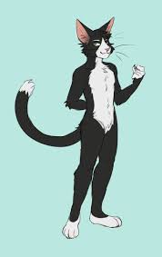 Wolf furry drawings step by step. Artist Sadfur Cat Furry Anthro Furry Furry Art