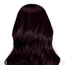 Palermo Black Rich Black Hair Color With Hints Of Aubergine Hair Color For Black Hair Permanent Hair Color Violet Black Hair