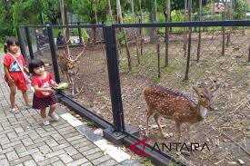 Jam ini sesuai dengan zona waktu setempat yakni waktu asia/jakarta. Rusa Di Taman Hutan Rumdis Bupati Boyolali Bertambah Antara Jateng