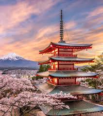 Pixie dust, magic mirrors, and genies are all considered forms of cheating and will disqualify your score on this test! 43 Informative And Fun Japan Facts For Kids