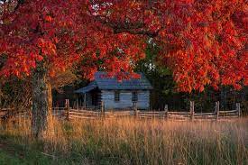 Maybe you would like to learn more about one of these? Fall 2020 Pretty Places To See In The South