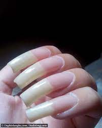 Secret Nail Garden Natural Nails Curved Nails Nails