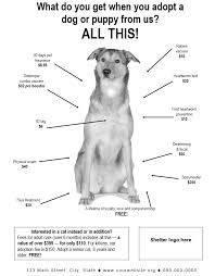 Posters And Shareable Graphics That Show The Financial Benefits Of Adopting Shelter Dogs And Cats Cat Adoption Dog Adoption Adoption