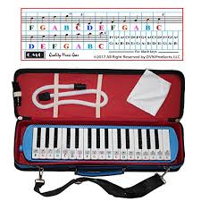 Melodica 32 Keys With Piano Stickers Hard Cover Carrying Case Mouthpiece And Piano Ebook