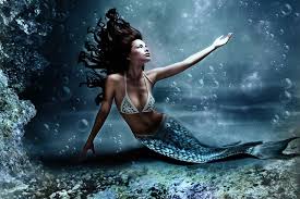 Mermaid Dreams Fragrance Oil 15809 - Rustic Escentuals