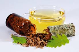 Bildergebnis für корень дуба