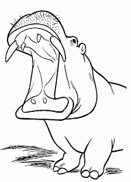Oleh karenanya kami sediakan banyak sketsa gamabr hitam putih burung. Hippo Coloring Pages For Kids Coloring Home