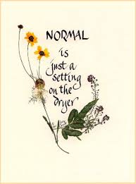 Humorous Quote Card Irishnormal Friendship Pressed Flower Etsy Quote Cards Thinking Of You Quotes Funny Quotes