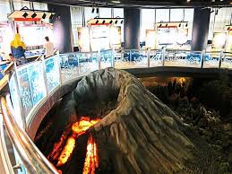 Its idea and substance rotate particularly around the study of oil, yet grasp all the general sciences. Petrosains Science Discovery Centre 2021 9 Top Things To Do In Kuala Lumpur Federal Territory Of Kuala Lumpur Reviews Best Time To Visit Photo Gallery Hellotravel Malaysia