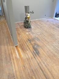 hardwood floor has pet sns