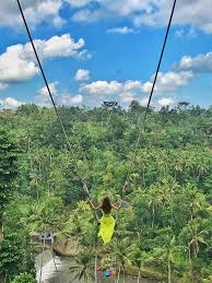 Bali Swing Swing Beautiful Places To Travel Bali Travel Bali