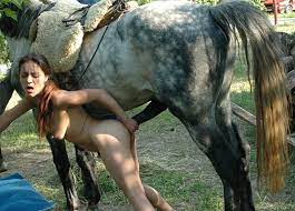At pornosu ,horse zoo porn dog zoo horse donkey porn eşşek sikişi izle •  JioPorn.Com