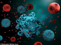 Effets secondaires de l immunoth?rapie. Les Traitements D Immunotherapie Sans Effets Secondaires Sont Possibles Selon Une Etude Fr24 News France