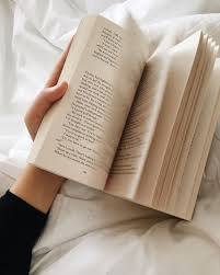Pin On The Book Shelf