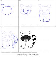 How to draw a raccoon. Drawing Step By Step Raccoon Novocom Top