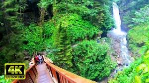 The road leading up to it is beautiful in itself and there are some tables next to the waterfall where you can eat and relax. Palovit Selalesi Camlihemsin Rize Youtube