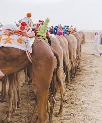 It is an acronym for the top six key indicators of a healthy financial institution And They Re Off Crown Prince Camel Festival Starts In Taif Arab News