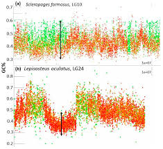 Mike g howell, michael howell. Genes Free Full Text Gc And Repeats Profiling Along Chromosomes The Future Of Fish Compositional Cytogenomics Html