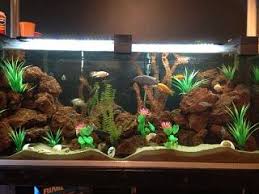 Lava Rock Cool Fish Cool Fish Tanks Goldfish Tank
