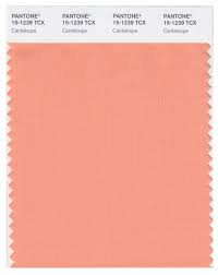 Wgsn Color Trend Report 2020 Color Palette Predictions Color Trends Color Trends Fashion Wgsn