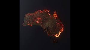 Incendio de australia, pierde mucha fauna. Los Incendios De Australia En Numeros