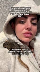 Little Mr. Bob today! #goodmorning #babysquirrel #bobthesquirrel #squi...