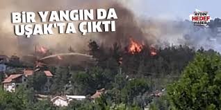 Aydın büyükşehir belediyesi i̇tfaiyesi gün boyu yangınlarla mücadele etti. Neufhd9offua4m