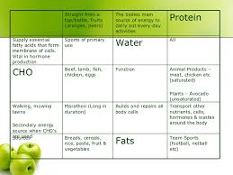 Sports Nutrition Powerpoint