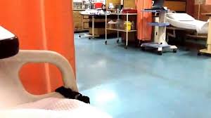 Kampung ladang padang cicar, 20000 kuala terengganu, terengganu, malaizija. Tikus Berkeliaran Dalam Wad Hospital Besar Kuala Terengganu Part 02 Youtube