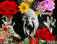 Image result for tbn:Ol5lxjC3piXICM::mamiebabou.m.a.pic.centerblog.net/vabzkebu.gif