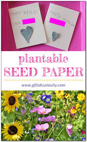 If you have room you can lay the whole card flat. Diy Plantable Seed Paper Makes A Great Gift Gift Of Curiosity